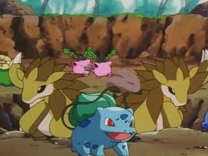 ¡Bulbasaur, El Embajador!