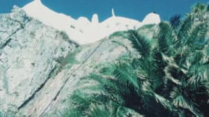 Portrait of Carlos Vilaro — foto 3