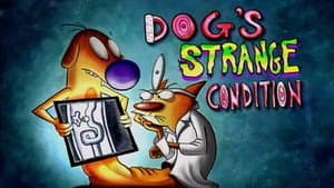 Extraña Condición de Perro