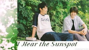 I Hear the Sunspot — foto 5