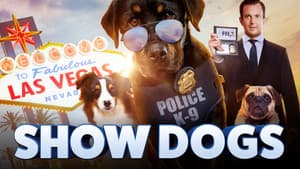 Superagente canino — foto 4