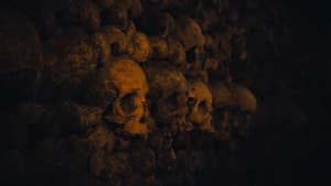 Queens of the Stone Age: Alive in the Catacombs — foto 7