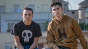 La profezia dell'armadillo — foto 1