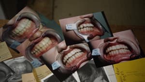 Open Wide — foto 6