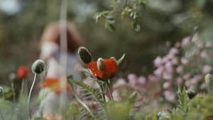 Bright Star — foto 7