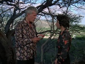 Episodio 24