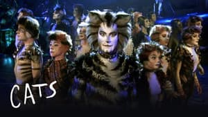 Cats — foto 7