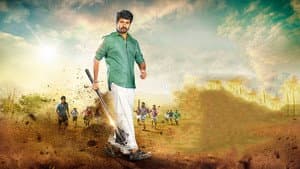 நம்ம வீட்டு பிள்ளை — foto 3
