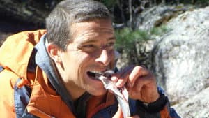 Episodio 12