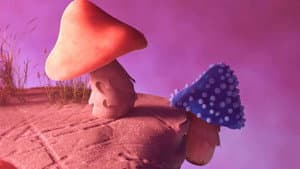 The Wrong Rock — foto 2