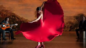 Flamenco Flamenco — foto 8
