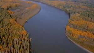 Footprints in the Delta — foto 1