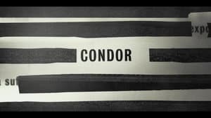 Cóndor — foto 8
