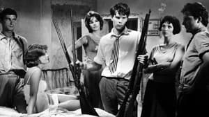 La notte brava — foto 2