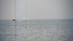 نظربازی — foto 1