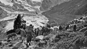 Heidi und Peter — foto 11