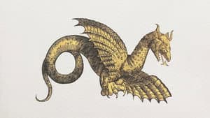 Draconis. La Storia del Drago di Rimini — foto 1