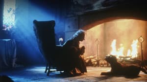 El Narrador de Cuentos — foto 1