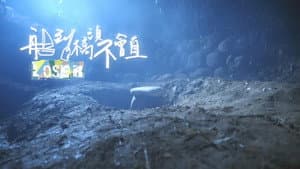船到橋頭不會直 — foto 2