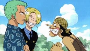 ¡Todos reunidos! Usopp cuenta la verdad sobre Nami.