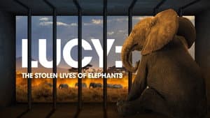 Lucy: The Stolen Lives of Elephants — foto 1