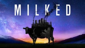 Milked — foto 1