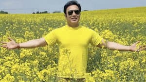Mustard Fields — foto 1