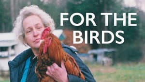 For the Birds — foto 1