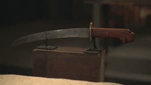 Episodio 14