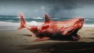 Atomic Shark — foto 1