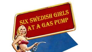 Sechs Schwedinnen von der Tankstelle — foto 8