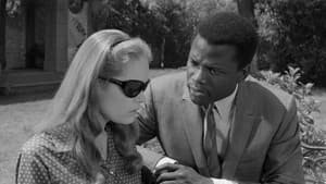 Cuando sólo el corazón ve — foto 9