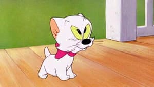 Kiddin' the Kitten — foto 1