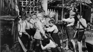 De witte — foto 1