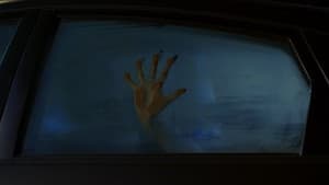 Contracted — foto 4