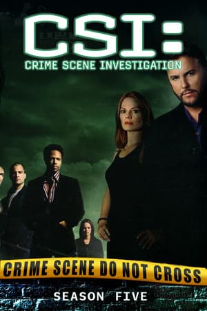 Temporada 5
