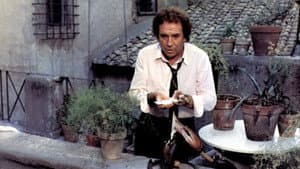 Il gatto — foto 2
