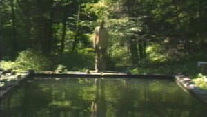 The Reflecting Pool — foto 1