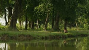 সহজ পাঠের গপ্পো — foto 1