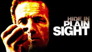Hide in Plain Sight — foto 2