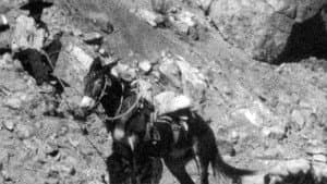 Al amparo del cielo — foto 2