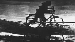 Boy and Bicycle — foto 1
