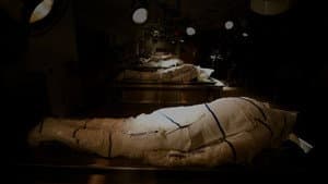 The First Patient — foto 1