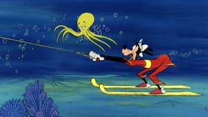 Aquamania — foto 10