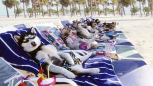 Frio De Perros — foto 7