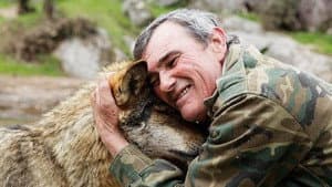 Marcos, el lobo solitario — foto 1