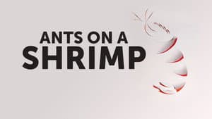 Ants on a Shrimp — foto 8
