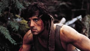 Rambo — foto 5