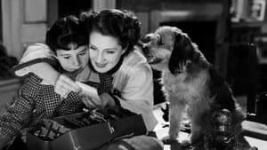 The Women — foto 4