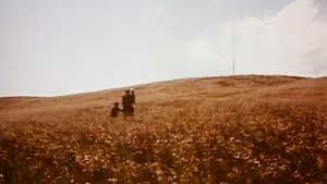 Medea — foto 9